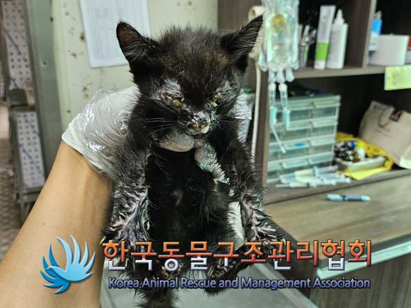 종료(자연사) 한국…